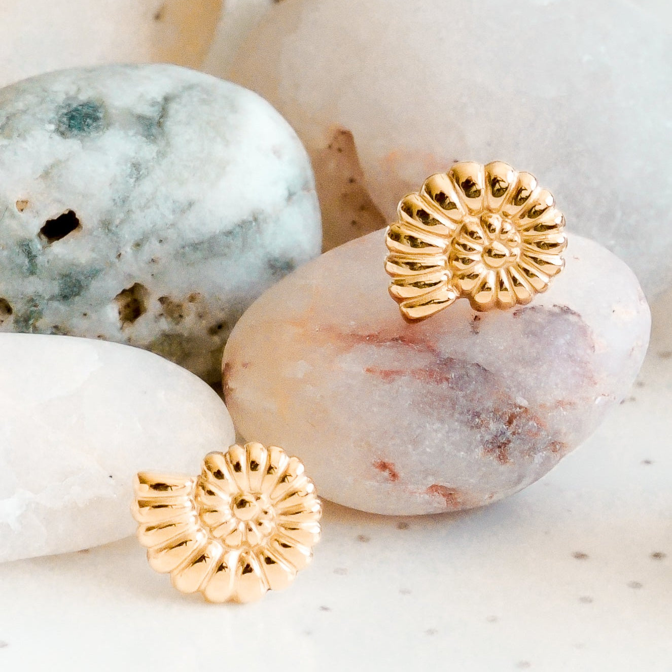 Mazie auskari - Gliemežvāki no Como Jewelry ar zelta pārklājumu novietoti uz gludiem, marmora raksta akmeņiem, radot dabisku un elegantu noskaņu.