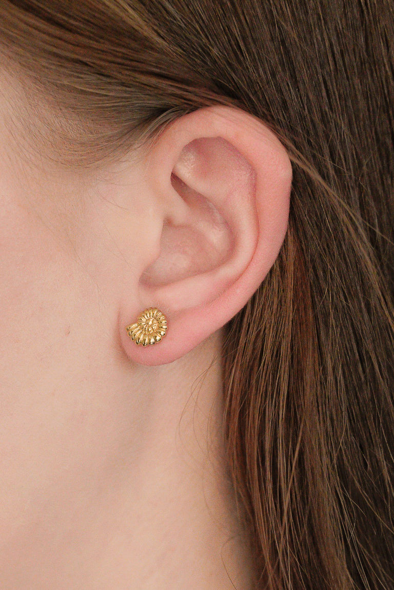 Detalizēts tuvplāns sievietes ausij, kurai ir Como Jewelry Mazie auskari - Gliemežvāki, mazi zelta pākstiņi ar sarežģītu tekstūru un hipoalerģisku zelta pārklājumu-ideāli jutīgai ādai.